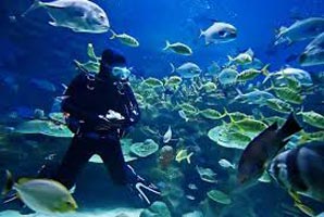 Andaman View Tour Package