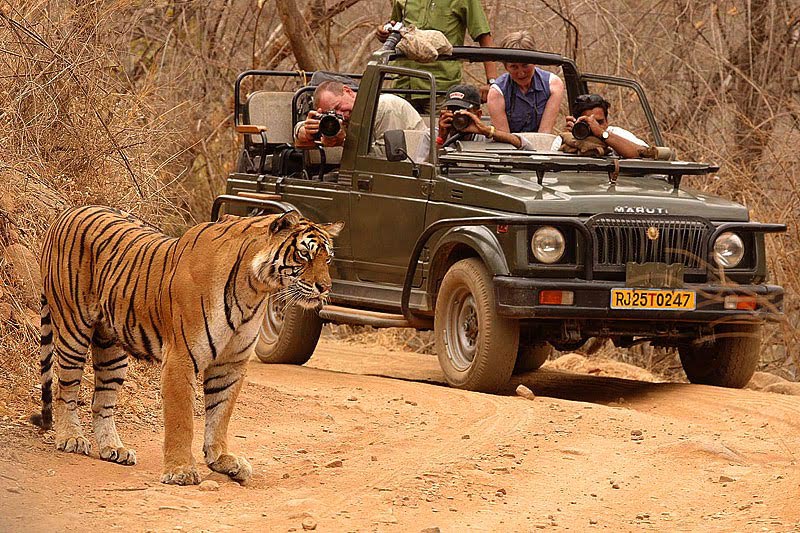 Golden Triangle With Ranthambore Special Tour