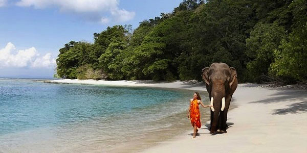 Exotic Andaman Tour