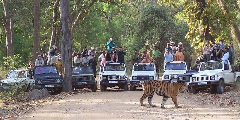 Panchmarhi - Jabalpur - Bheda Ghat - Kanha Wild Life Tour