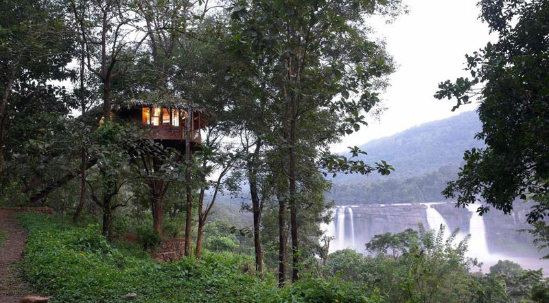 3 Days Periyar Tour With Treehouse