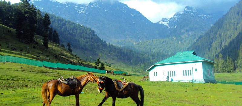 Splendors Of Kashmir Package