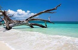 Holidays Packages In Andaman