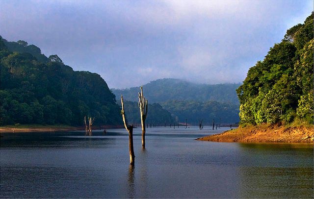 Kerala Tour 05Nts/06Dys