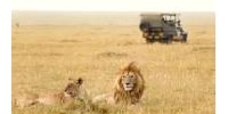 Meet The Big Five Tour