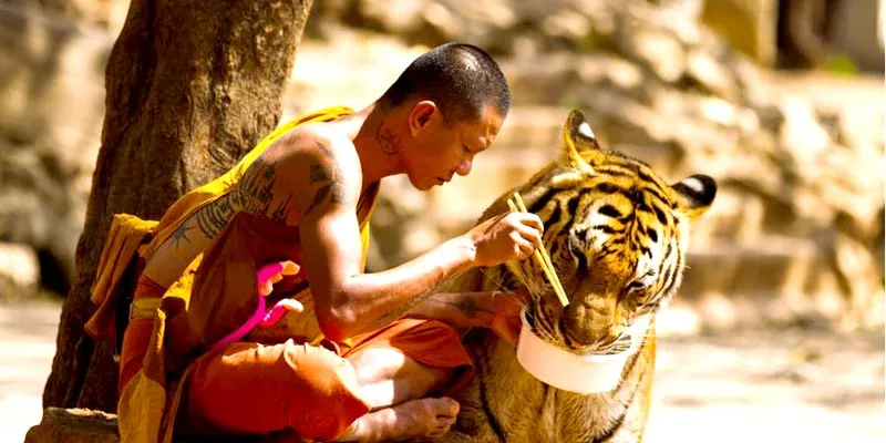 Amazing Thailand Tour