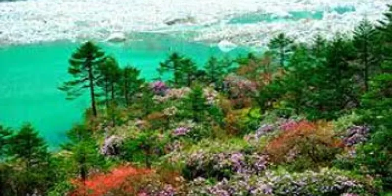 Darjeeling Gangtok Tour