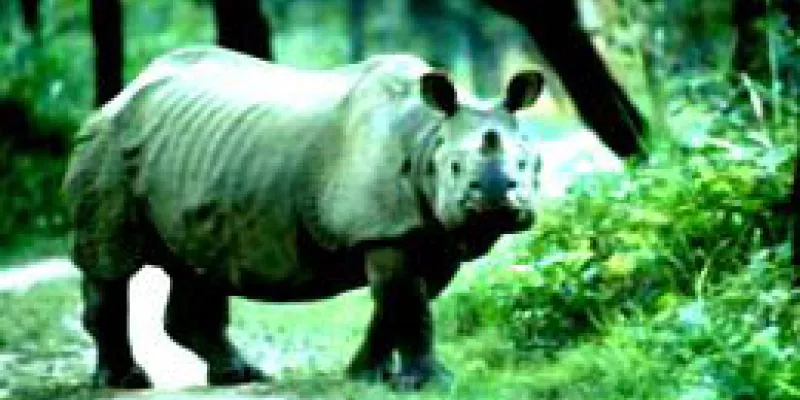 Exotic Wilderness Of North - East Tour