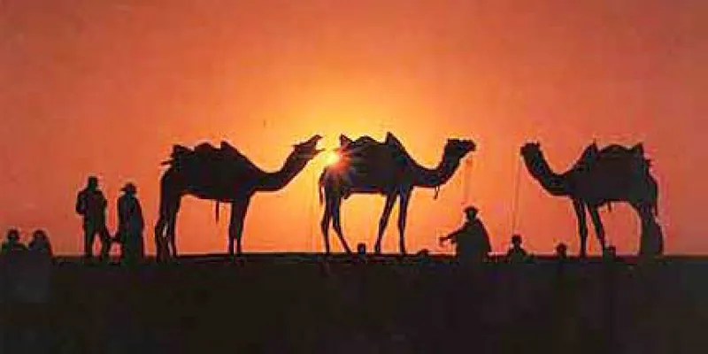 Royal Tour Of Rajasthan