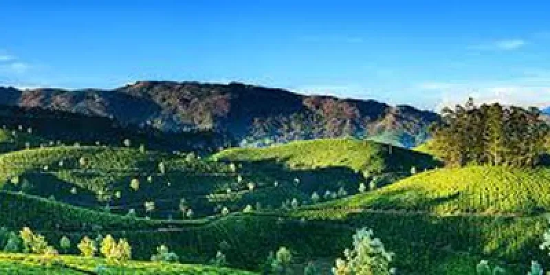 Mesmerizing Darjeeling Gangtok Tour