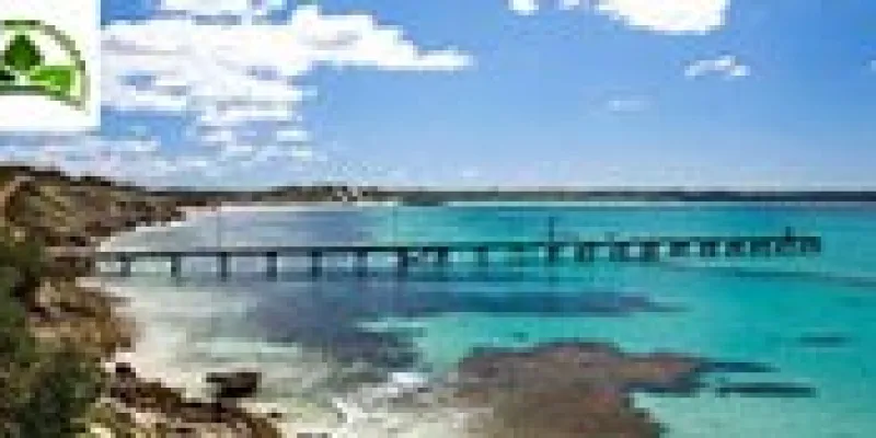 Jungle Delight Tour With Mysore Bandipur Ooty