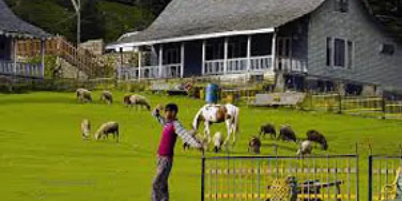 Holiday At Himachal Tour