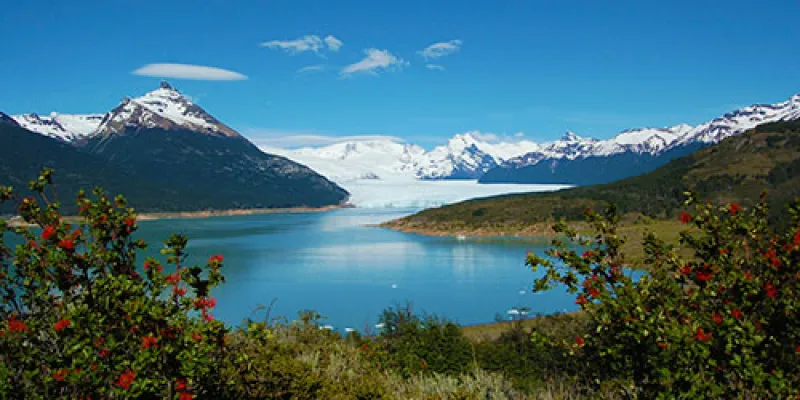 Pelling Gangtok Darjeeling 07 Days Tour