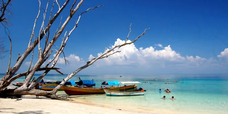 Couple Luxury Package - ( 4N / 5D )