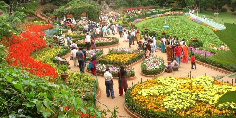 Honeymoon In Ooty Package