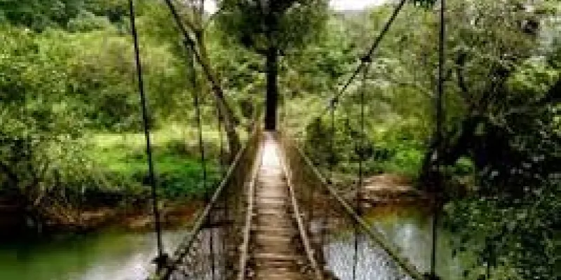 Wayanad & Coorg Package