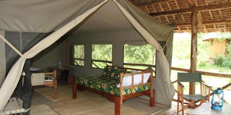 Mikumi National Park Safari Package