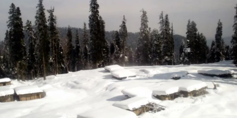 Kashmir Beauty With Holy Dharshan Of Vaishno Devi Tour