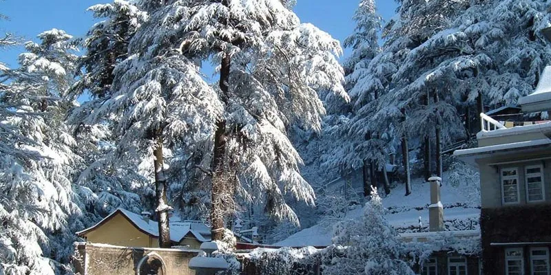 Delhi Manali Tour By Volvo