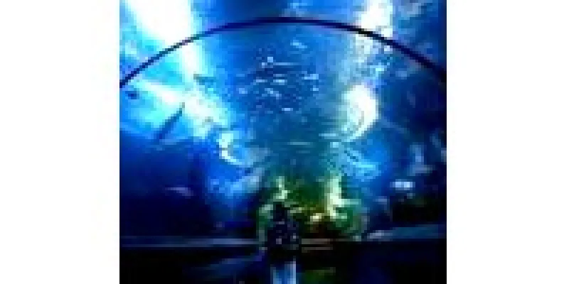 Singapore Malaysia Tour Package From Trichy / Tamilnadu