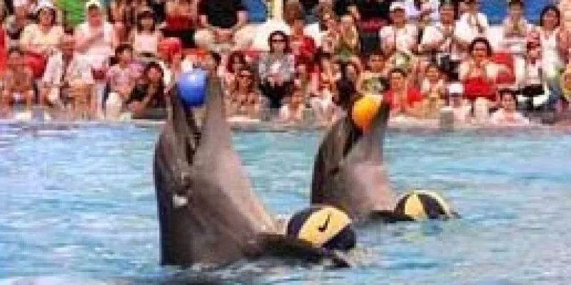 Singapore Malaysia Tour Package From Trichy / Tamilnadu