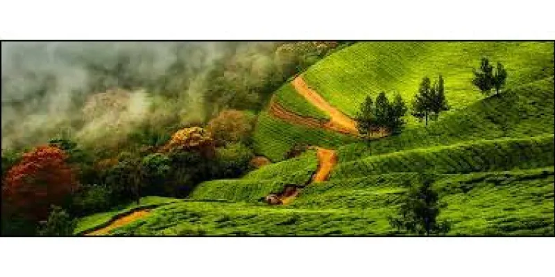 Honeymoon In Royal Kerala With Kanyakumari