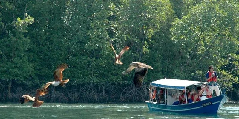 Langkawi Nature Discovery Tour