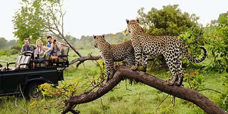 Kenya Wildlife Holiday Accross The Maasai Land Tour