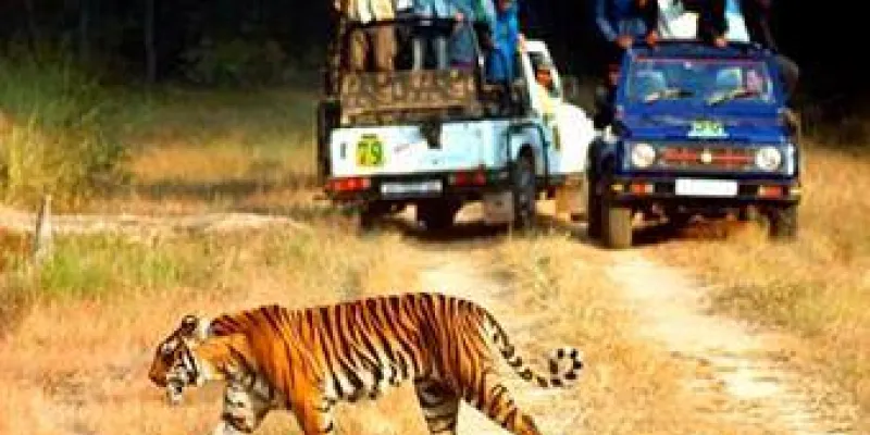 Coorg Rs.5,999/-every Saturday Agents Welcome Tac Applicable 2 N / 3 Days