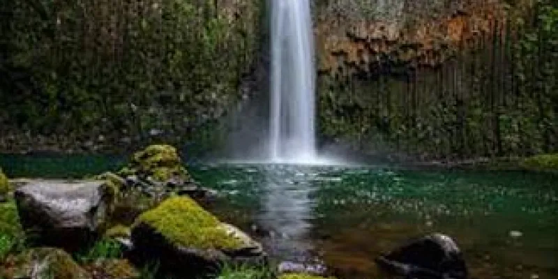 Shimla Short Escape Package