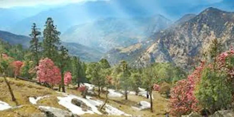 Corporate Group Tours 6d/5n