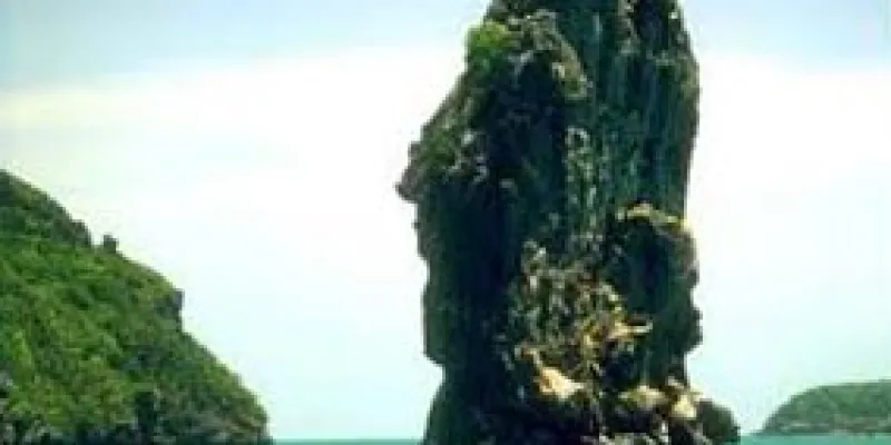 Lazy Days Dream Tour