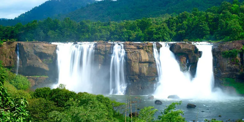 Munnar - Trivandrum Tour