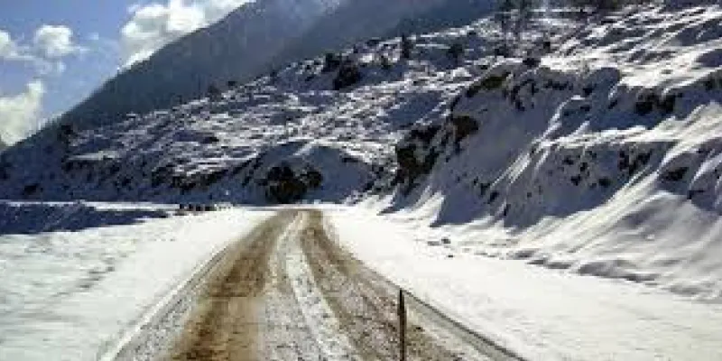 RHODODUMRAM  TOUR  TREK ECO ADVENTURE TOUR