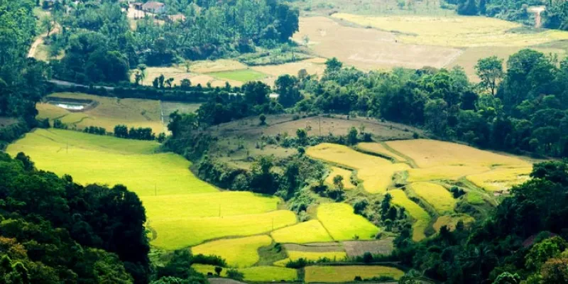 Delightful Coorg With Kabini Tour