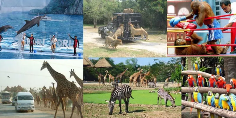 Phuket, Krabi, Pattaya & Bangkok 8 Nights/9Days Package