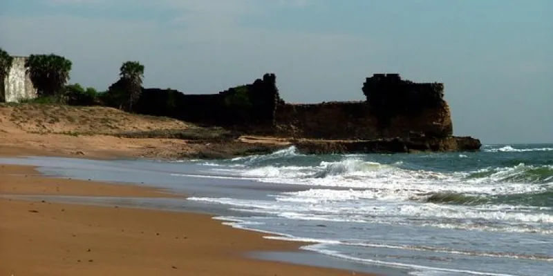 Wildlife & Beach Tour Of Gujarat