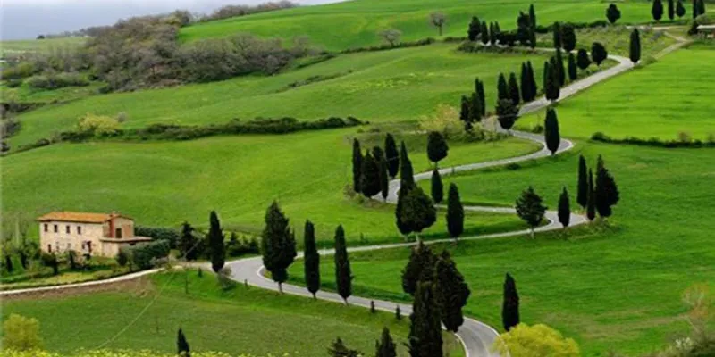 Bandipur And Ooty Tour(Summer Special)