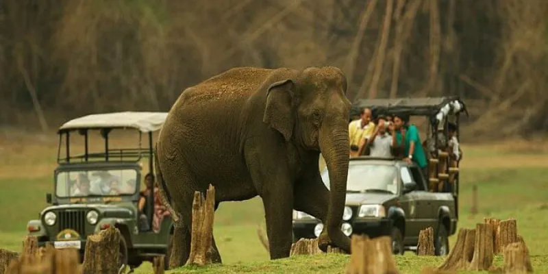 Winter Wonderful Coorg Mysore Tour