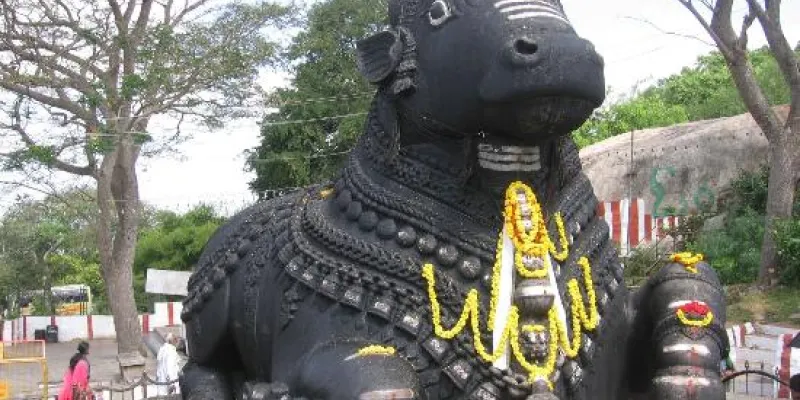 Bangalore - Hassan - Mysore - Bangalore Tour