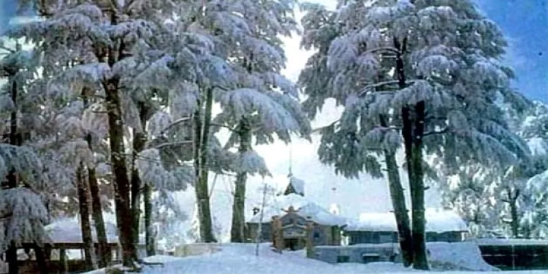 Weekend In Shimla 3* Tour