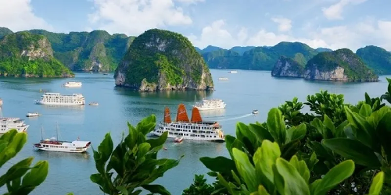 Ho Chi Minh – Hoi An – Phong Nha – Hanoi – Halong Bay 10 Days