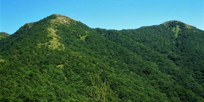 Guangzhou Getaway Tour