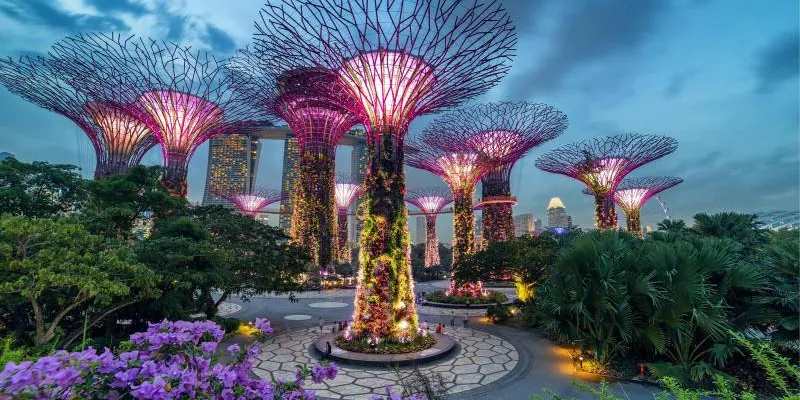 Exclusive Singapore Tour
