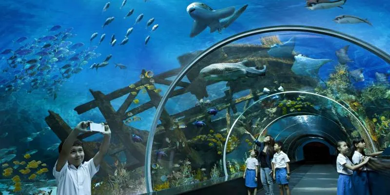 Exclusive Singapore Tour