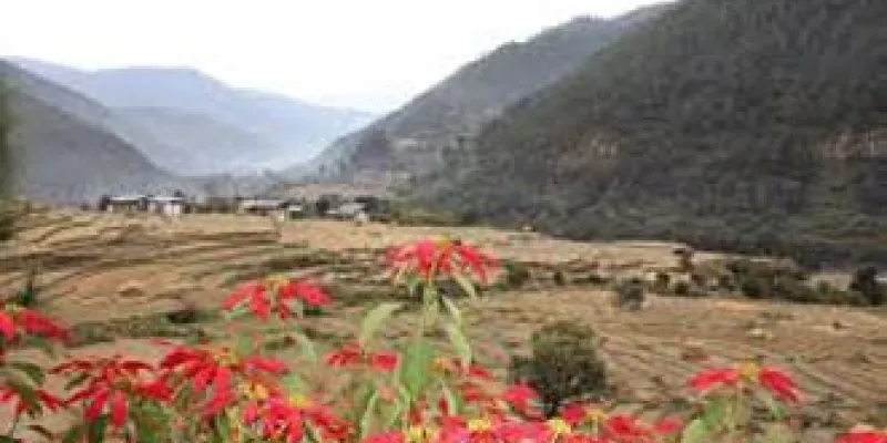 Samtengang Winter Trek Tour