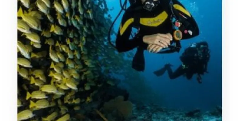 Scuba Diving - Watersports - Goa Tour