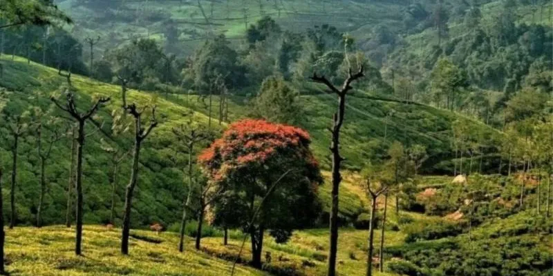 2 Nights 3 Days In Ooty Tour