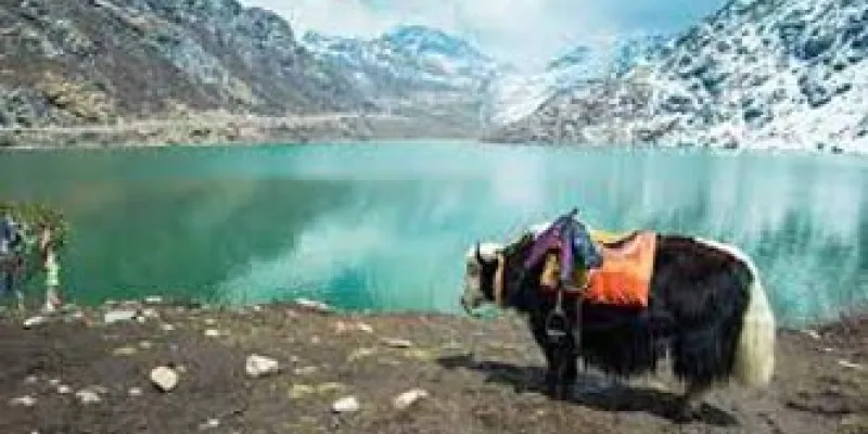 Short Escape To Gangtok Tour