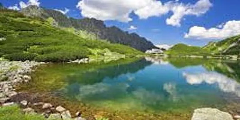 Beautiful Darjeeling Tour